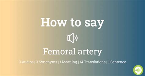femoral artery pronunciation|Iba pa.
